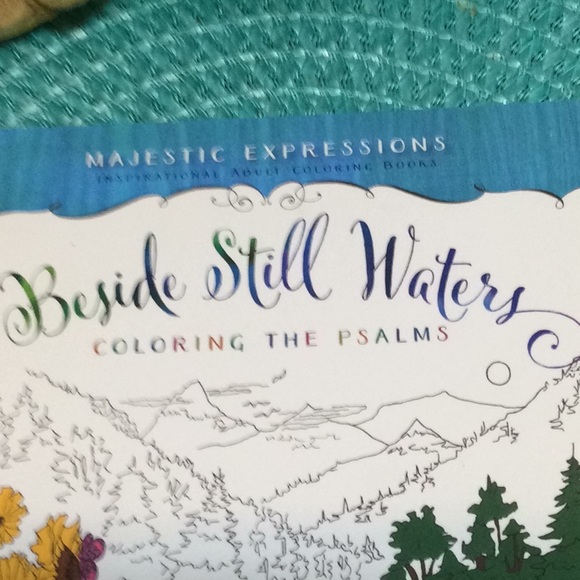 Coloring the Psalms Adult Inspirational color book - Picture 2 of 5